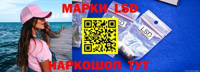 спайс Владимир