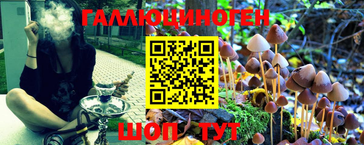 Благодарный  Псилоцибиновые грибы GOLDEN TEACHER  Вход с VPN 