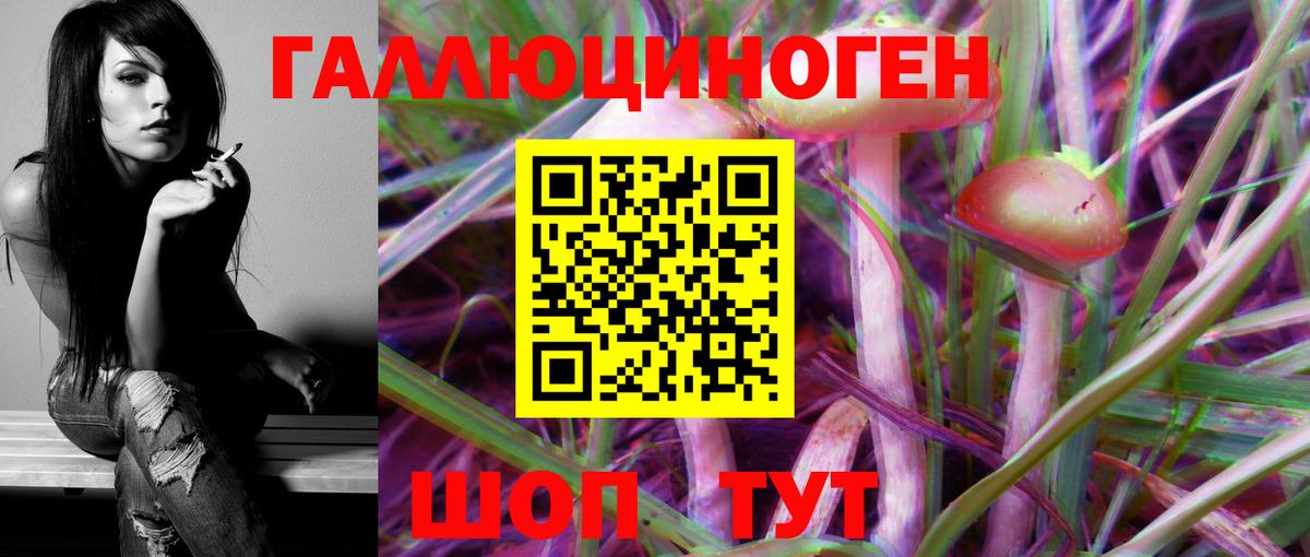 Псилоцибиновые грибы Psilocybe Благодарный